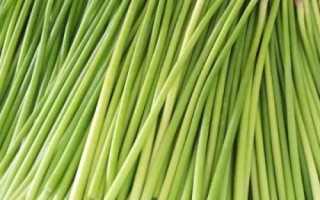 蒜苔怎么長出，大蒜長到一定程度就會(huì)分化出細(xì)長的莖