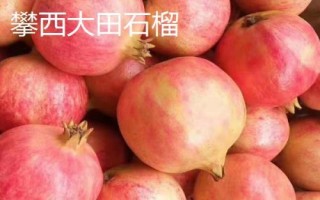 四川省攀枝花的特產(chǎn)，攀枝花芒果是全國農(nóng)產(chǎn)品地理標(biāo)志