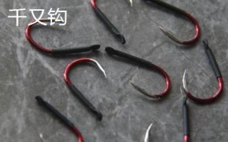 千又鉤和伊豆鉤的區(qū)別，千又鉤的鉤尖呈鷹嘴狀