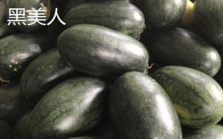 如何挑選好吃又甜的西瓜，表皮光滑、紋路清晰的西瓜口感通常較好