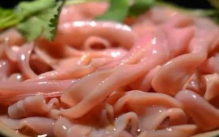 釣黃顙魚最佳時間，夏季和初秋的晚上是釣黃顙魚的黃金時間