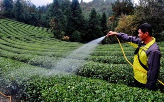 磷肥如何使用利用率高，根據(jù)土壤條件合理分配和施用