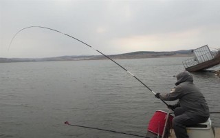 釣魚下午是釣深還是釣淺，一般是釣深