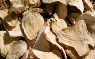 白術(shù)的管理方法，幼苗出土后要及時除草翻耕
