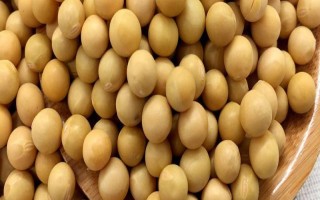合豐55大豆種子特點，選擇中上等肥力的地塊種植