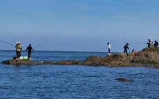 底釣鰱鳙的效果，效果良好、可使用酸臭味魚餌