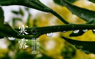 白露和寒露的區(qū)別，白露處于9月上旬、寒露處于10月上旬