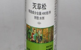 高粱地里苗后除草劑都有哪些，常見的有麥草畏、辛酰溴苯腈等