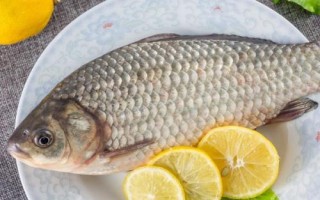 金海夕魚鉤適合釣什么魚，適合釣鯽魚、羅非魚、鲴魚等