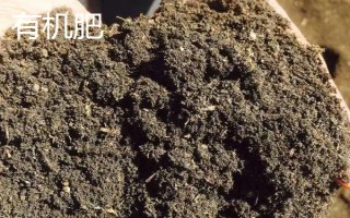 有機(jī)肥和生物菌肥的區(qū)別，前者本身含有多種養(yǎng)分、后者通過微生物的生命活動產(chǎn)生肥效