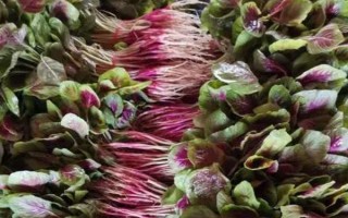 有哪些紫色菜，常見(jiàn)的有茄子、紫甘藍(lán)、洋蔥等