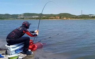 釣鯉魚如何才能避開白條鬧窩，可以使用素餌