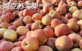新疆阿克蘇地區(qū)有哪些特色水果，常見的有庫車小白杏、阿克蘇蘋果等