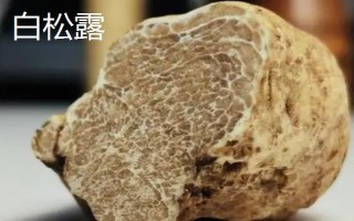 黑松露是什么，是一種生長(zhǎng)于地下的野生食用真菌