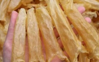 什么品種的花膠比較好，常見的有金錢鰲魚膠、大須金錢鳘魚膠等