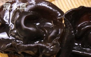 如何正確挑選白背木耳，可以用手捏或者用水泡等