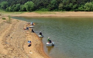 野釣黃尾魚(yú)適合用什么餌料，腥味型、麩香型、酒香型均可使用