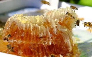 挖蜂巢蜜為什么要用木勺，可防止其受污染
