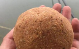 冬季野釣鯽魚用什么餌，腥味重的活餌或拉餌更有吸引力