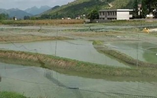 養(yǎng)殖泥鰍所需環(huán)境，需從水庫、江河、湖泊中獲取干凈的水源
