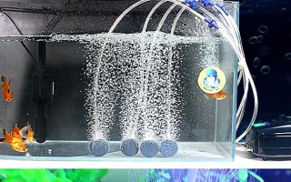 魚缸打氧機(jī)不出泡的解決辦法，可以嘗試將氧氣泵放在高一點(diǎn)的位置