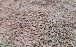 芝麻的價(jià)格，價(jià)格根據(jù)產(chǎn)地、品種、品質(zhì)而不同