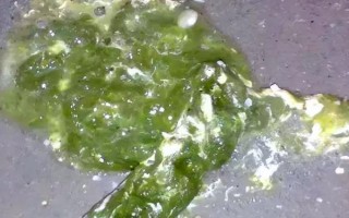 雞拉綠色糞便的原因，感染傷寒、患上禽霍亂等因素均會導(dǎo)致