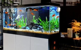 魚缸氧氣太多好不好，根據(jù)魚兒的飼養(yǎng)密度決定