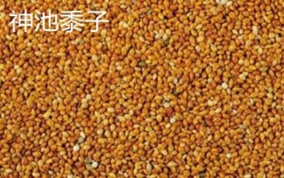 山西省神池縣的特產(chǎn)，包括神池黑豆、神池黍子、神池羊肉等種類