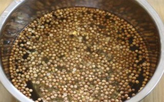 有機(jī)蔬菜種子怎么浸種催芽，用溫水浸泡后再放入容器中并覆蓋濕毛巾