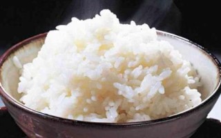 秋季野釣鯽魚適用餌料，常用餌包括米飯、麥粒及蚯蚓