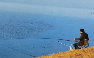 底釣鰱鳙的效果，效果良好、可使用酸臭味魚餌