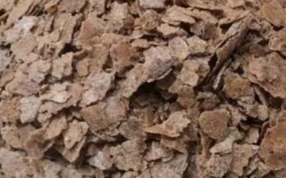 夏季釣鯽魚的技巧，掌握這5點就能“爆護”