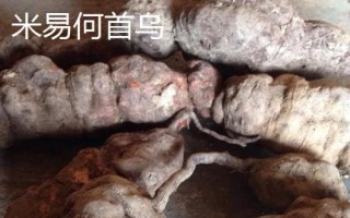 四川省攀枝花的特產(chǎn)，攀枝花芒果是全國農(nóng)產(chǎn)品地理標(biāo)志