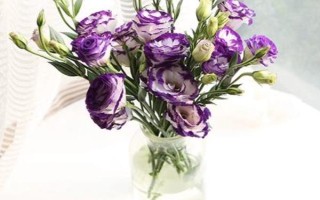 桔?；芩喽嚅L時間，取決于當(dāng)前季節(jié)的溫度