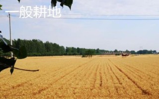基本農(nóng)田和一般耕地的意思，前者是指被總體規(guī)劃不得占用的耕地、后者是指經(jīng)常耕耘的土地