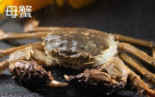 八月份的梭子蟹肥嗎，8月是梭子蟹最肥美的時(shí)候