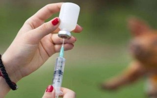 一公斤的豬打多少青霉素，用量多為5萬單位