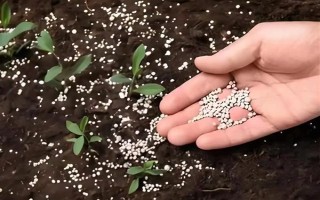 復(fù)合肥的使用方法，一般畝用量為30-40千克