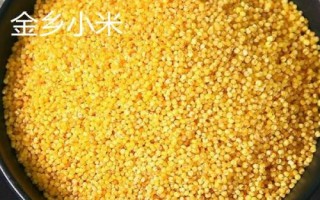 山東省金鄉(xiāng)縣的特產(chǎn)，胡集白梨瓜走俏全國