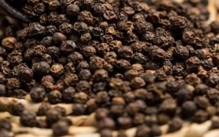 蚊子怕什么，懼怕蚊香、殺蟲劑等化學(xué)物品