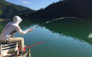11月份是否容易垂釣鰱鳙，此時(shí)鰱鳙的活性不高、因此不易垂釣
