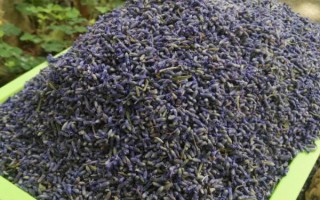 薰衣草干花香味的持續(xù)時(shí)間，一般能達(dá)到3-6個(gè)月