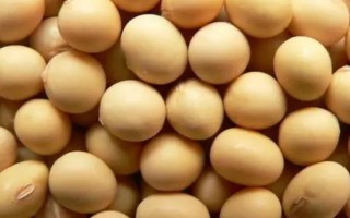 受歡迎的大豆品種有哪些，常見的有中黃35、中黃301等