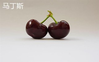 車厘子的品種介紹，常見的有金車車厘子、紅燈、美早等