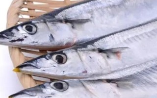 帶魚的產(chǎn)地，在我國沿海地區(qū)均有分布