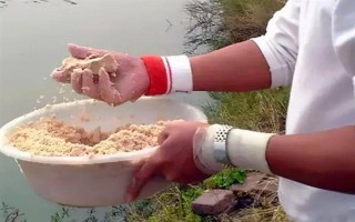 蚯蚓釣鯽魚(yú)不開(kāi)口怎么處理，一定要打好窩子