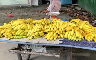 幾百元本錢擺地?cái)傎u什么，可選擇賣服裝鞋襪、賣水果等