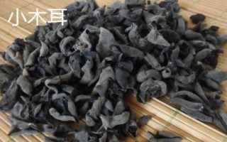 大顆粒木耳與小木耳的區(qū)別，前者稱為春耳、后者稱為秋耳