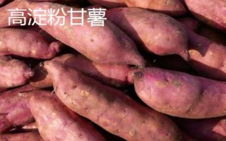 六鰲紅蜜薯的產(chǎn)地，福建省漳浦縣主產(chǎn)